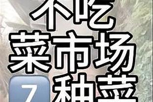 被浓眉抢爆！森林狼双塔缺阵 篮板38-56不敌湖人浓眉一人就抢25板